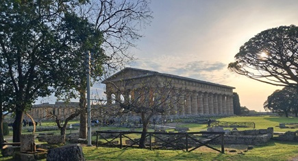 Next Partner Day 2025