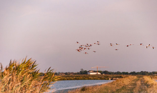 Testimonianza  - Comune di Cervia